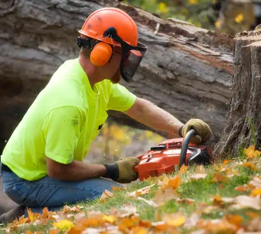 tree services Norway